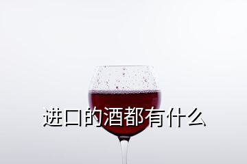 進(jìn)口的酒都有什么