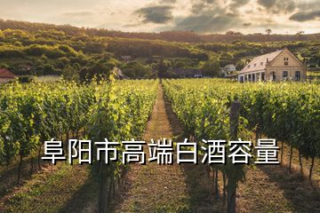 阜陽市高端白酒容量