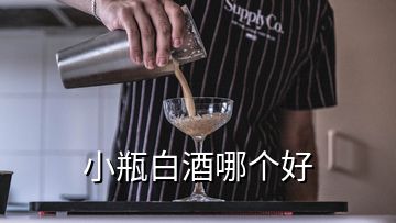 小瓶白酒哪個(gè)好