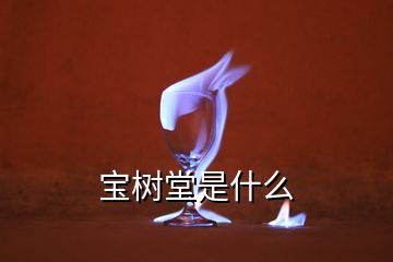 寶樹(shù)堂是什么