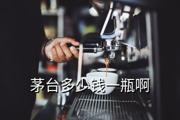 茅臺多少錢一瓶啊