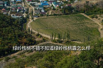 綠嶺核桃不錯(cuò)不知道綠嶺核桃露怎么樣