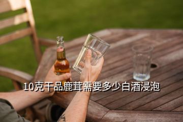 10克干品鹿茸需要多少白酒浸泡