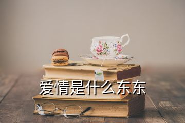 愛情是什么東東