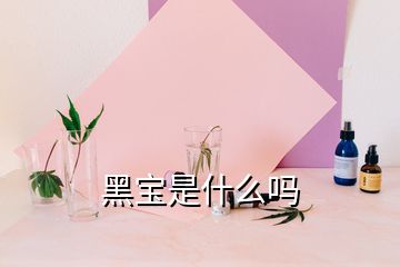 黑寶是什么嗎