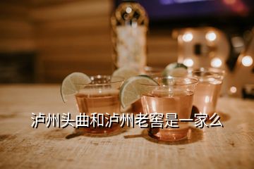 瀘州頭曲和瀘州老窖是一家么