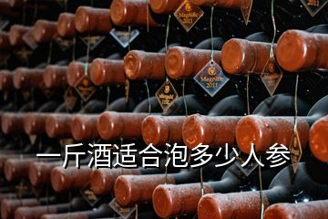 一斤酒適合泡多少人參