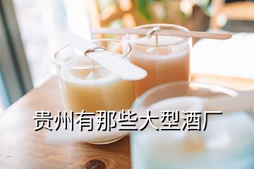 貴州有那些大型酒廠