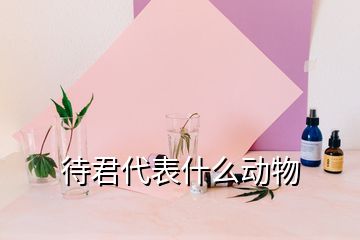 待君代表什么動(dòng)物