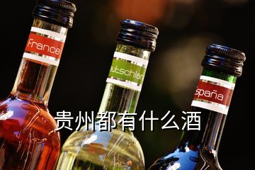 貴州都有什么酒