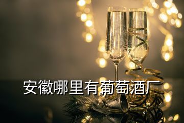 安徽哪里有葡萄酒廠