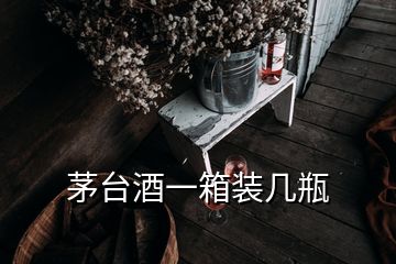 茅臺(tái)酒一箱裝幾瓶