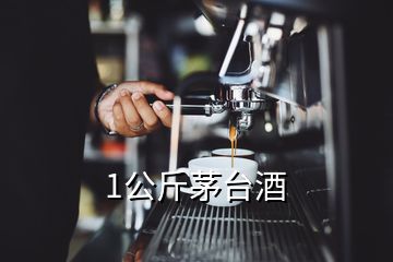 1公斤茅臺(tái)酒