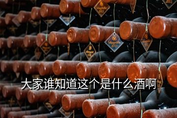 大家誰(shuí)知道這個(gè)是什么酒啊