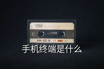 手機終端是什么