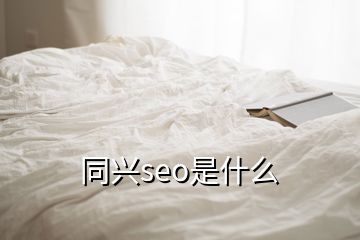 同興seo是什么