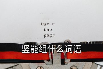 豎能組什么詞語