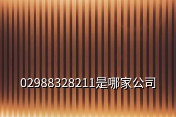 02988328211是哪家公司