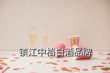 鎮(zhèn)江中檔白酒品牌