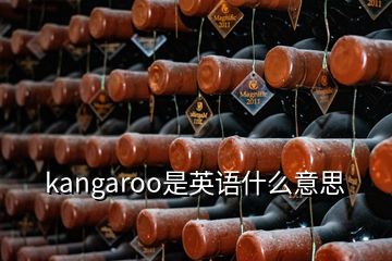 kangaroo是英語什么意思