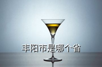 豐陽市是哪個省