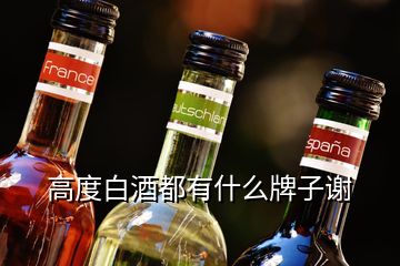 高度白酒都有什么牌子謝