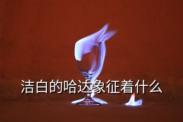 潔白的哈達象征著什么