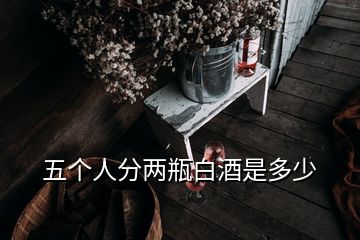 五個人分兩瓶白酒是多少