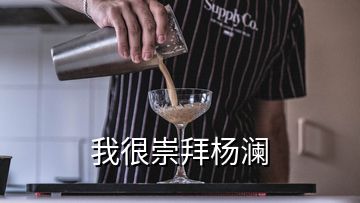 我很崇拜楊瀾