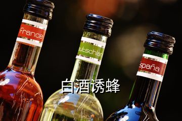 白酒誘蜂