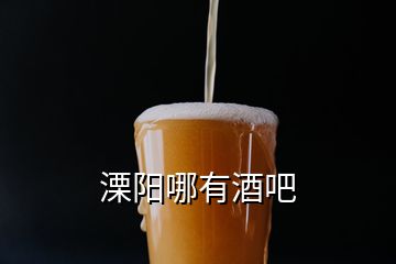 溧陽(yáng)哪有酒吧