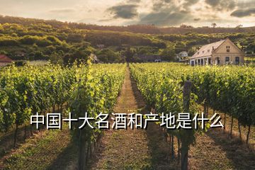 中國十大名酒和產地是什么