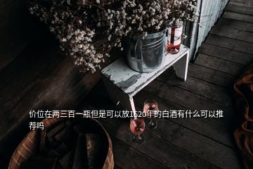 價(jià)位在兩三百一瓶但是可以放1520年的白酒有什么可以推薦嗎