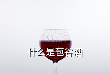 什么是苞谷酒