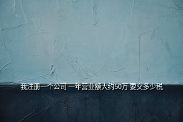 我注冊一個(gè)公司 一年?duì)I業(yè)額大約50萬 要交多少稅