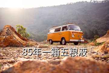 85年一箱五糧液