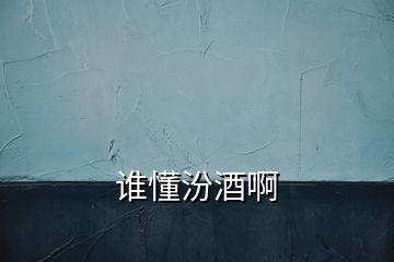 誰懂汾酒啊