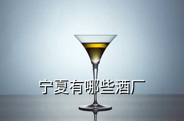 寧夏有哪些酒廠