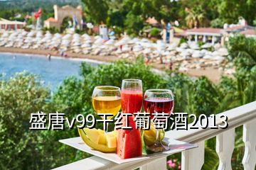 盛唐v99干紅葡萄酒2013