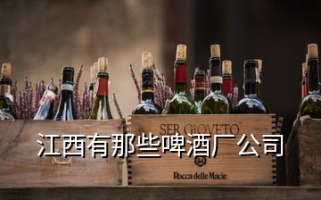 江西有那些啤酒廠公司