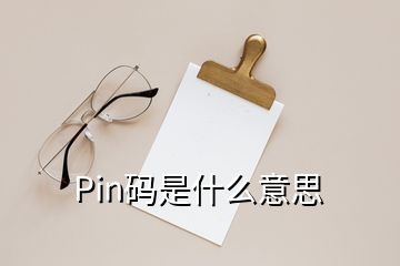 Pin碼是什么意思