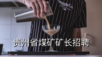 貴州省煤礦礦長招聘