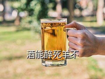 酒能醉死羊不