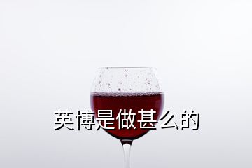 英博是做甚么的