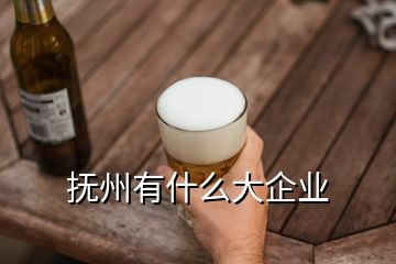 撫州有什么大企業(yè)