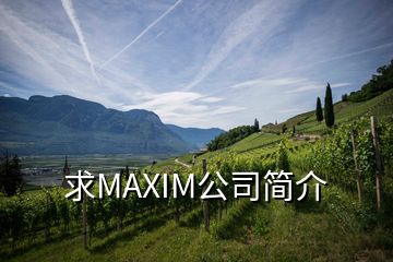 求MAXIM公司簡介