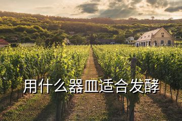 用什么器皿適合發(fā)酵