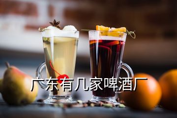 廣東有幾家啤酒廠