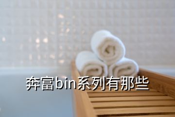 奔富bin系列有那些