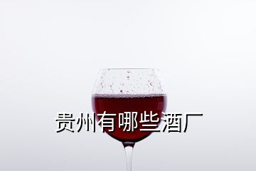 貴州有哪些酒廠